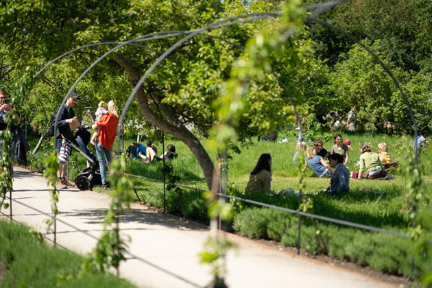 This is the first time the three acre garden has been opened to the public in the evenings