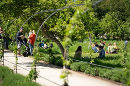 Summer Evenings in the Walled Garden