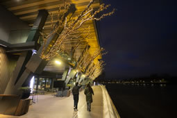Fulham Pier Lights Up for Its First Festive Season