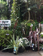 Fulham Palace Garden Centre