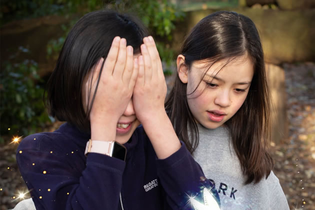 Part of the palace grounds will become an enchanted forest 